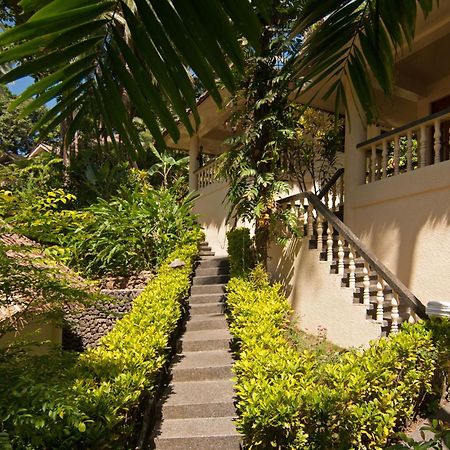 Easy Diving And Beach Resort Sipalay Exteriér fotografie