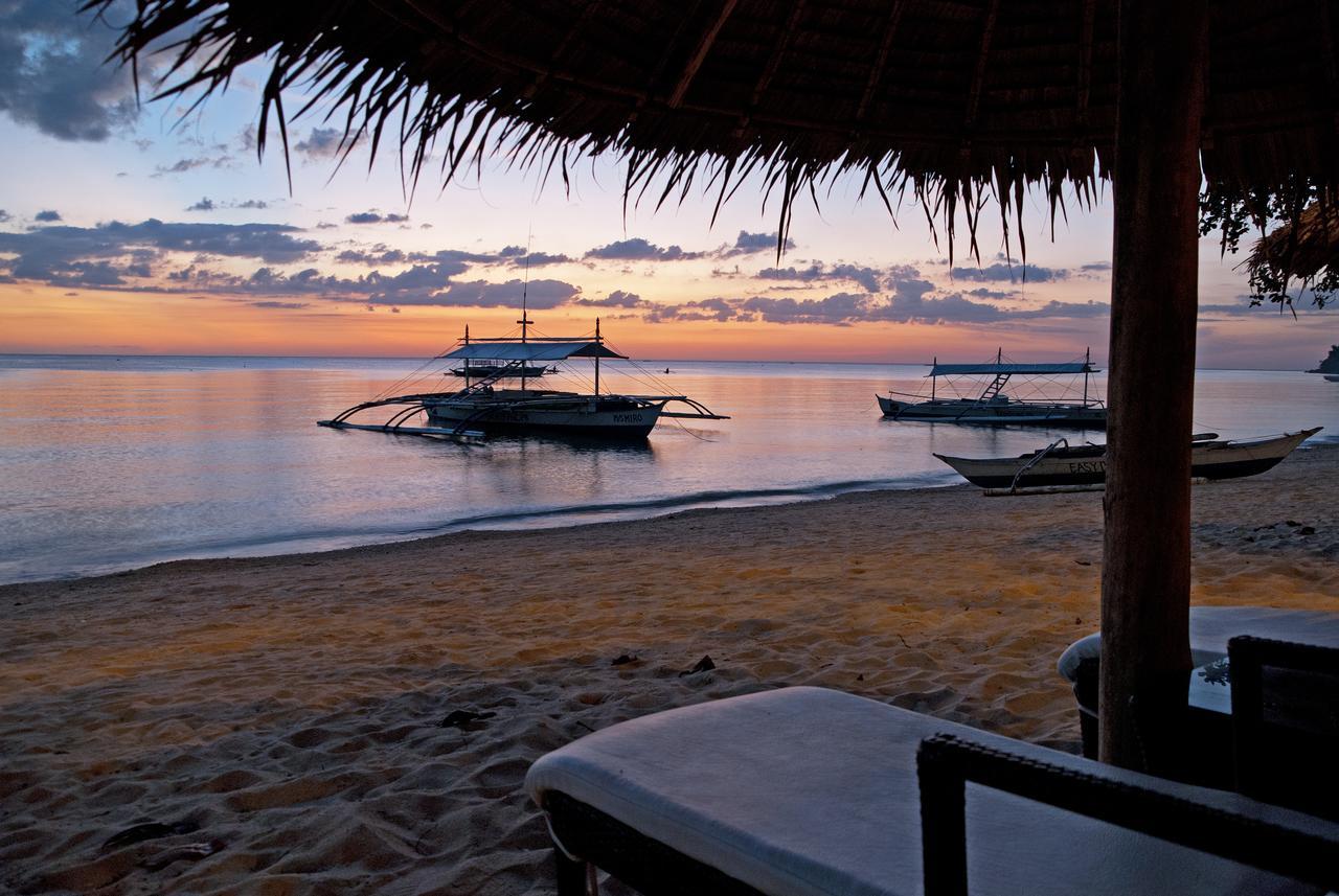 Easy Diving And Beach Resort Sipalay Exteriér fotografie